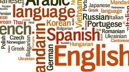 traduceri tehnice