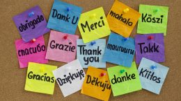 servicii traduceri